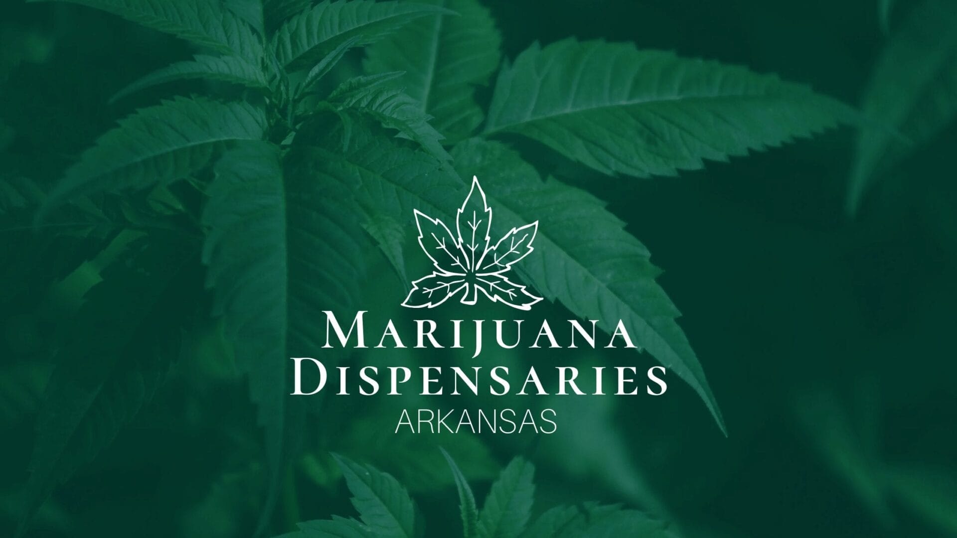 Marijuana Dispensaries in Arkansas Discover